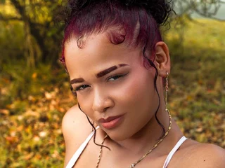 Profile preview